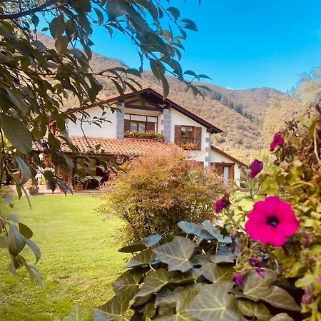 オヘド Excepcional Casa El Olivoヴィラ エクステリア 写真