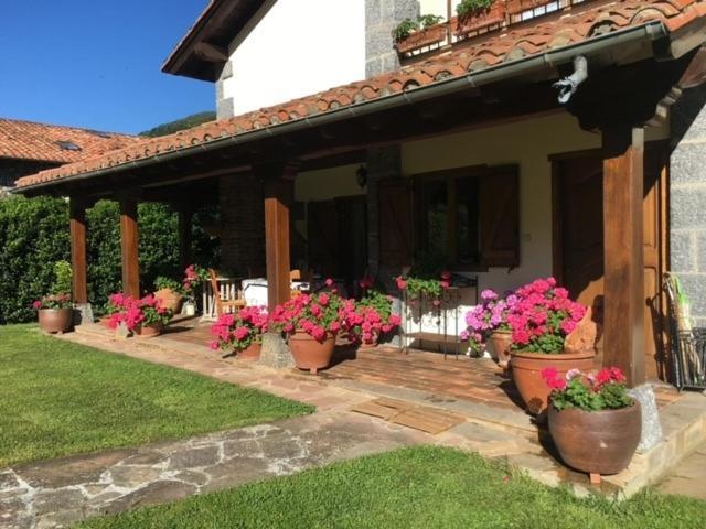 オヘド Excepcional Casa El Olivoヴィラ エクステリア 写真