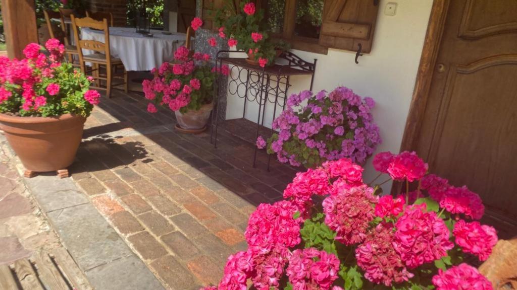 オヘド Excepcional Casa El Olivoヴィラ エクステリア 写真