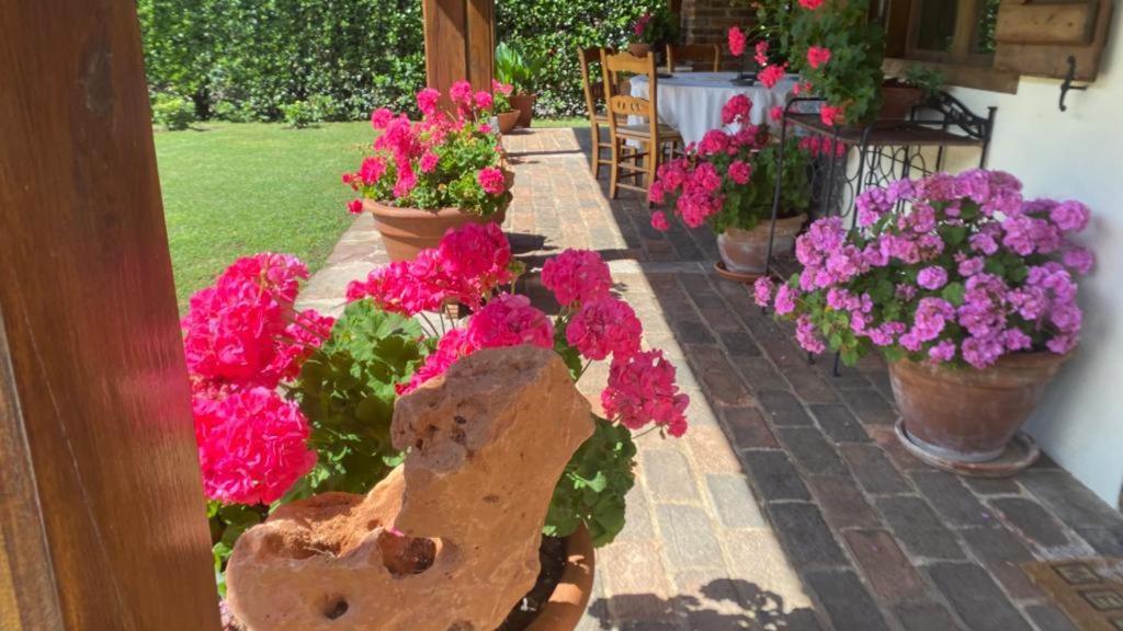 オヘド Excepcional Casa El Olivoヴィラ エクステリア 写真