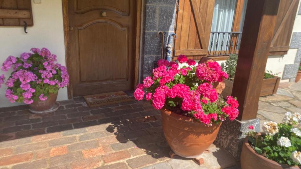 オヘド Excepcional Casa El Olivoヴィラ エクステリア 写真